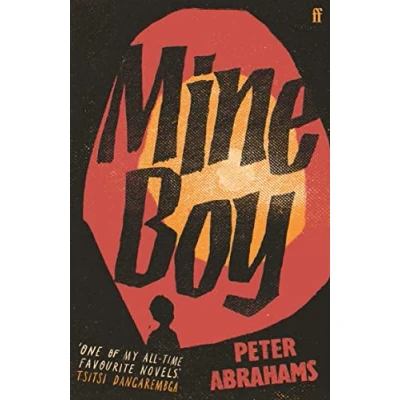 Afbeelding van Mine Boy