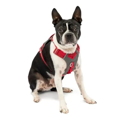 Afbeelding van Animal Boulevard K01938 Outdoor Hond Kurgo Journey Air Tuigje Rood S Maat: