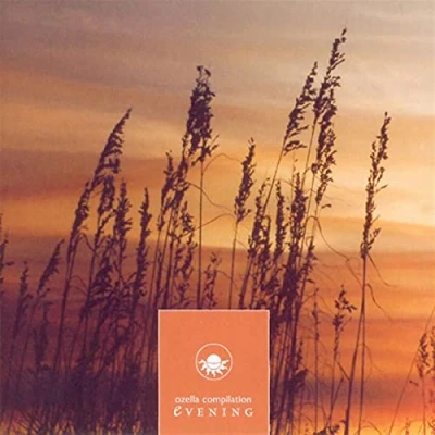 Afbeelding van Various Artists Evening Ozella Compilation (CD)