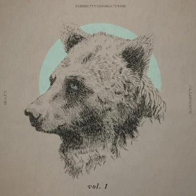 Afbeelding van Needtobreathe Acoustic Live Vol.1 (2 LPs)