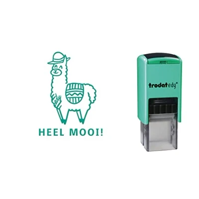 Afbeelding van Trodat edy Fix motiverende stempel voor leraren en pedagogen stempelset 1 lama motief zeer veel!, Nederlands, mintgroene behuizing, groene print, automatisch stempel,