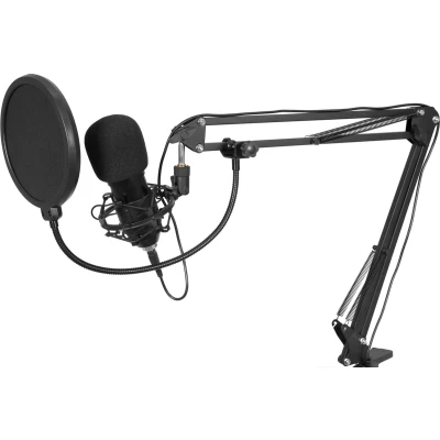 Afbeelding van Omnitronic BMS 1C USB Condenser Broadcast Microphone Set