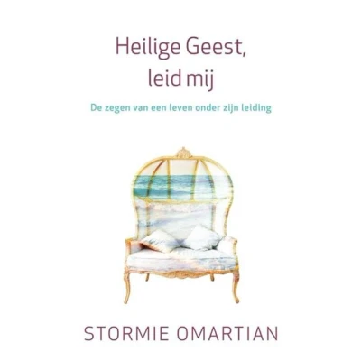 Afbeelding van Heilige Geest, leid mij