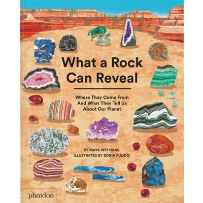 Image de What A Rock Can Reveal