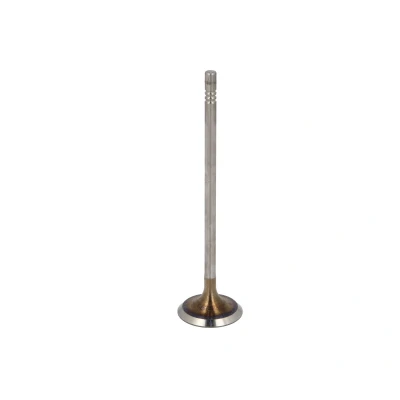 Afbeelding van TRW Engine Component Inlaatklep 331167