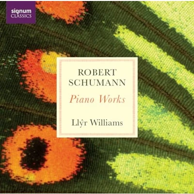 Afbeelding van Robert Schumann: Piano Works
