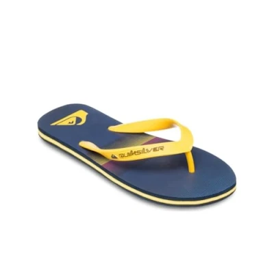 Afbeelding van Quiksilver Molokai Stripe 25 Teenslippers, Heren, Maat: 41, Bsw6 Kunststof