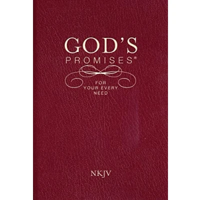 Afbeelding van Gods Promises For Your Every Need NKJV