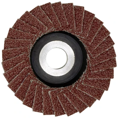 Afbeelding van Proxxon 28591 Lamellenschijf Diameter 50 mm Boordiameter 10 Smeedbaar gietijzer, Grijs/grauw RVS, Staal, Non ferrometaal, Hout, Kunststof 1