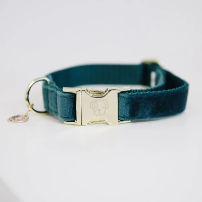 Image de Kentucky Collier velours Emerald 45 75cm