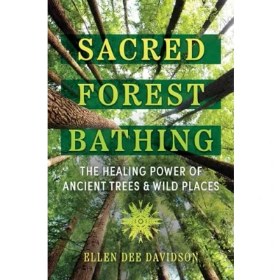 Afbeelding van Sacred Forest Bathing