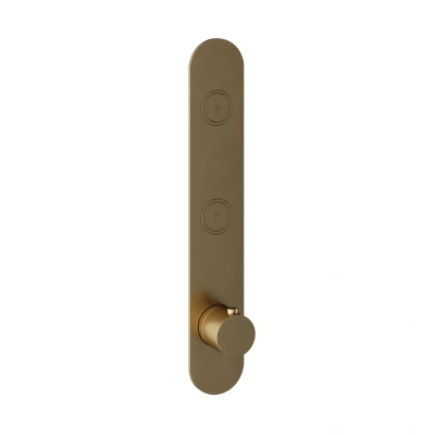 Afbeelding van HotBath Cobber PB066 afbouwdeel voor inbouwthermostaat met 2 pushbuttons geschikt verticale plaatsing Geborsteld Messing