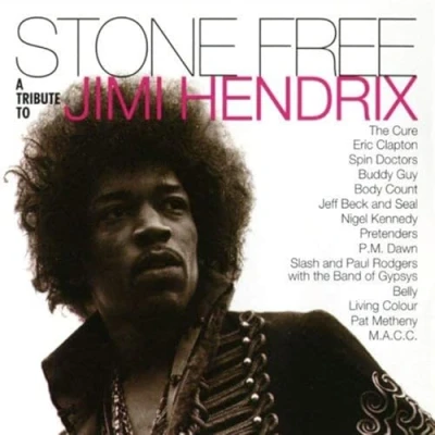 Afbeelding van Stone Free: Tribute To Jimi Hendrix