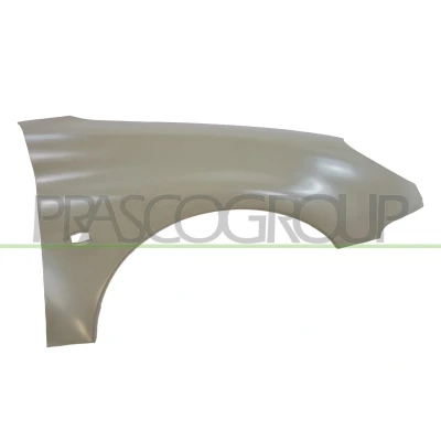 Afbeelding van PRASCO PG0093013 Spatbord Rechts voor PEUGEOT: 206 Hatchback