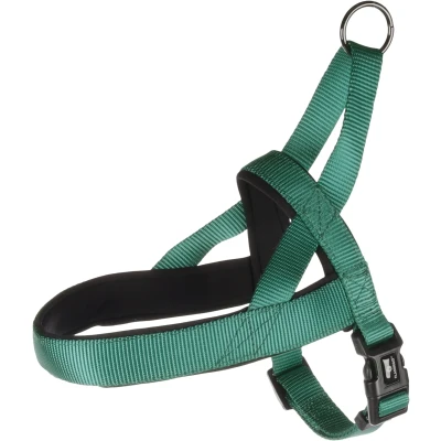 Afbeelding van Flamingo Abbi Noors Harnas Honden Groen S 40 50cm 20mm 1st 190727