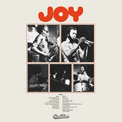 Afbeelding van Joy (LP)