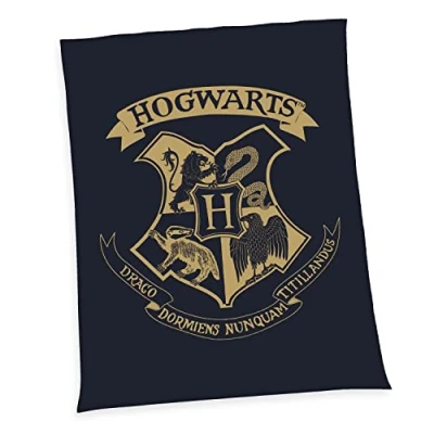 Afbeelding van Herding Harry Potter Wellsoft fleecedeken, meerkleurig, 200 x 150 cm