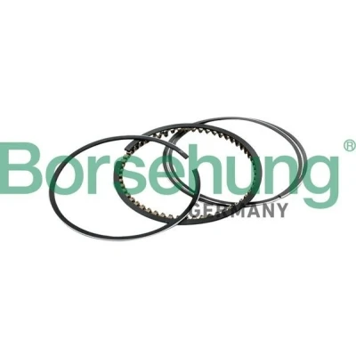 Afbeelding van Borsehung B10367 Zuigerveer