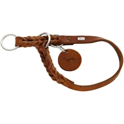 Afbeelding van Hunter Training Halsband Hond Solid Education Cognac