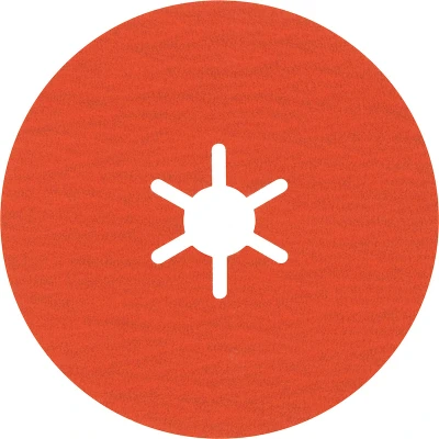 Afbeelding van Bosch Accessories 2608621819 Fiberschijf Diameter 100 mm Staal, RVS 25 stuk(s)