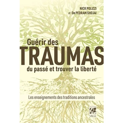 Afbeelding van Guérir des traumas du passé et trouver la liberté Les enseignements traditions ancestrales