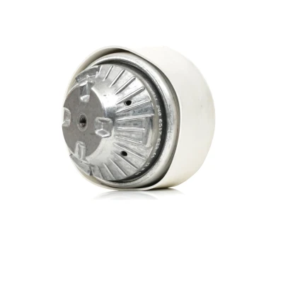 Afbeelding van Aslichaam /motorsteunlager MEYLE 014 024 0079