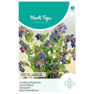 Afbeelding van Hortitops Cerinthe Wasbloem Pride Of Gibraltar Bloemenzaden 1 g