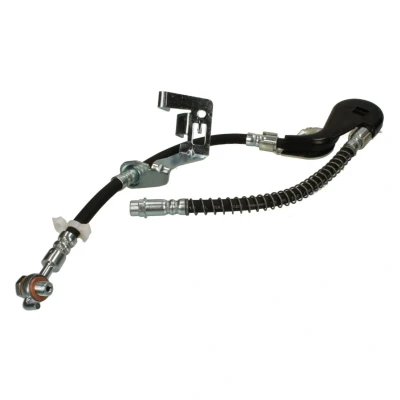 Afbeelding van Remslang DELPHI LH6870