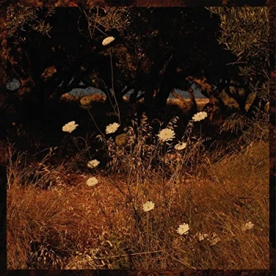 Afbeelding van Szun Waves Earth Patterns (LP)