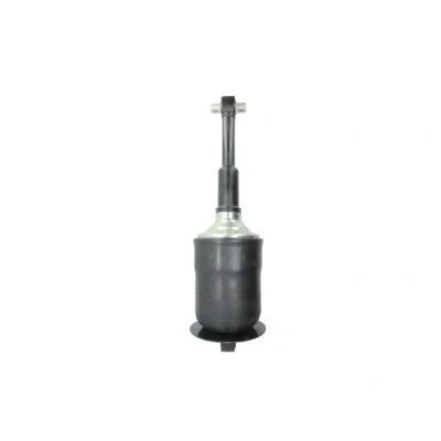 Afbeelding van Sachs Schokdemper 317 325