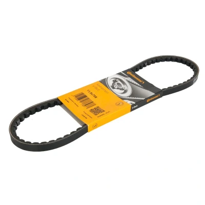 Afbeelding van V riem CONTINENTAL CTAM 11,9X758Ld