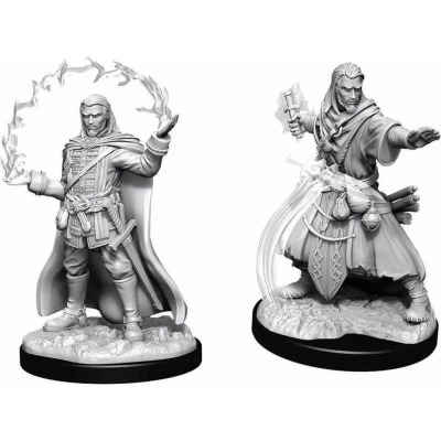 Afbeelding van Nolzur&#039;s Male Human Wizard