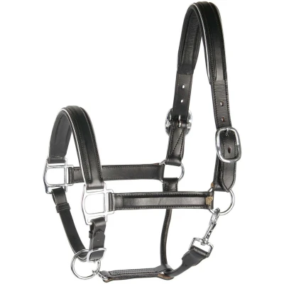 Afbeelding van Harry&#039;s Horse Halster Leder Zwart met Bies Zilver Pony