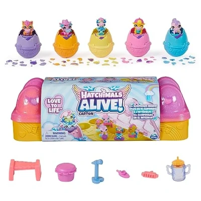 Image de Boîte 5 œufs + accessoires Hatchimal Alive