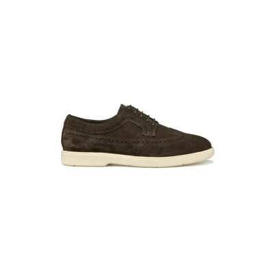 Afbeelding van Geox U Spherica EC17 Veterschoenen, Heren, Maat: 45, Dark brown Leer