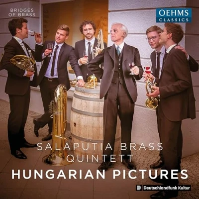 Afbeelding van Salaputia Brass Quintett Hungarian Pictures, Bridges Of (CD)