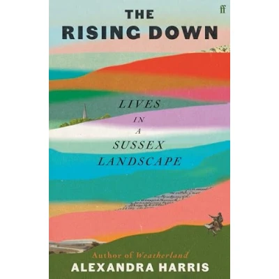 Afbeelding van The Rising Down