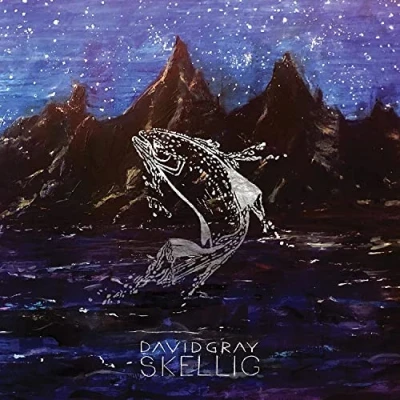 Afbeelding van David Gray Skellig (2 LPs)