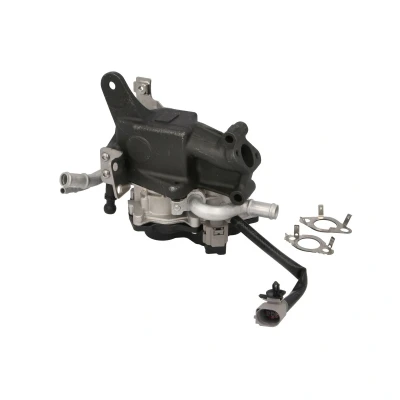 Afbeelding van PIERBURG 7.24809.98.0 EGR klep Electrisch Controleklep Met pakking VOLKSWAGEN: Polo V Hatchback