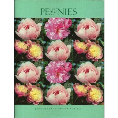 Afbeelding van Peonies