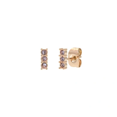 Afbeelding van Triple Stone iXXXi Ear Studs Rosé/Tanzanite