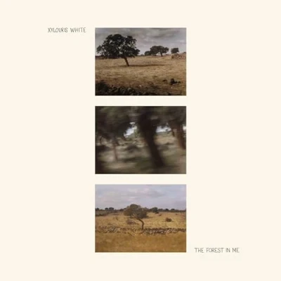 Afbeelding van Xylouris White Forest In Me (LP)