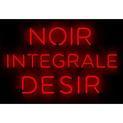Afbeelding van INTEGRALE