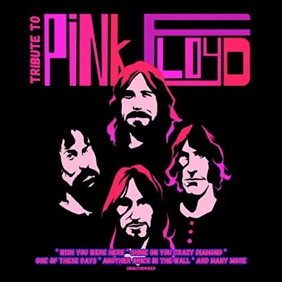 Afbeelding van Pink Floyd Tribute To