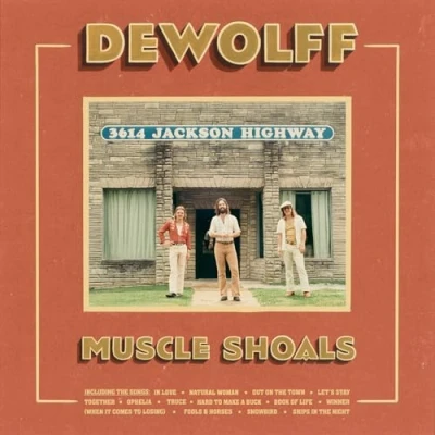 Afbeelding van Dewolff Muscle Shoals (2 LPs)