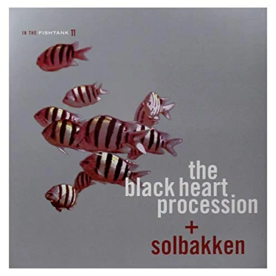Afbeelding van Black Heart Procession/So In The Fishtank