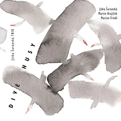Afbeelding van Jitka Suranska Trio Dive Husy (CD)