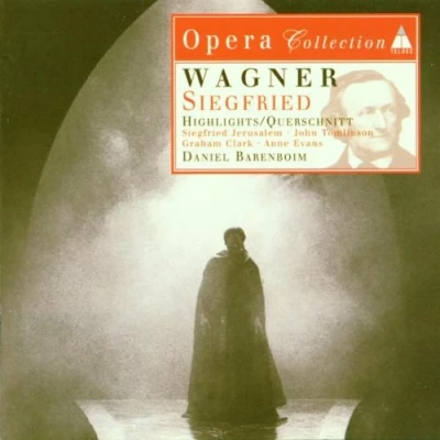 Afbeelding van Wagner: Siegfried Highlights / Barenboim et al