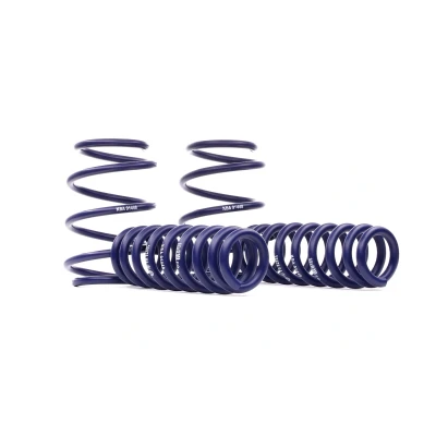 Afbeelding van H&amp;R Veren HR 288785