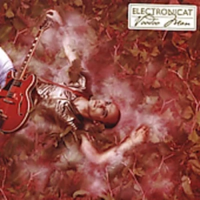 Afbeelding van Electronicat Voodoo Man (CD)